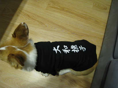 大和撫子_1.jpg 大和撫子_1.jpg