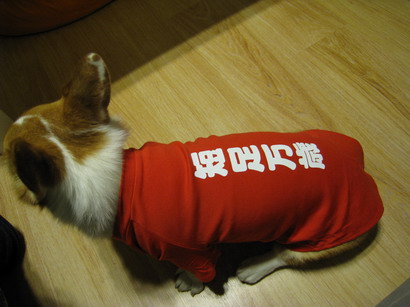 短足萬歲.jpg 短足萬歲.jpg