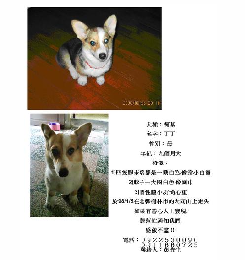 丁丁協尋海報.jpg 丁丁協尋海報.jpg