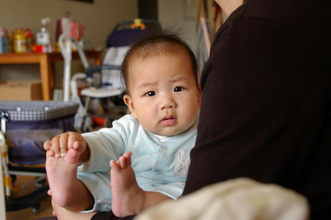 試照.jpg 試照.jpg
