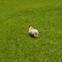 IMGP4039.JPG IMGP4039.JPG