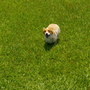 IMGP4043.JPG IMGP4043.JPG