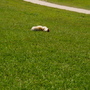 IMGP4050.JPG IMGP4050.JPG