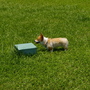 IMGP4055.JPG IMGP4055.JPG