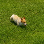 IMGP4058.JPG IMGP4058.JPG