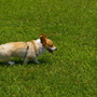 IMGP4062.JPG IMGP4062.JPG