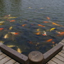 IMGP4072.JPG IMGP4072.JPG