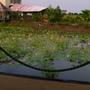 IMGP4076.JPG IMGP4076.JPG