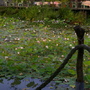 IMGP4079.JPG IMGP4079.JPG