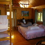 IMGP4081.JPG IMGP4081.JPG