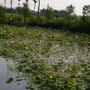 IMGP4096.JPG IMGP4096.JPG
