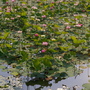 IMGP4097.JPG IMGP4097.JPG
