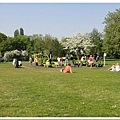 Eltham park (8).jpg