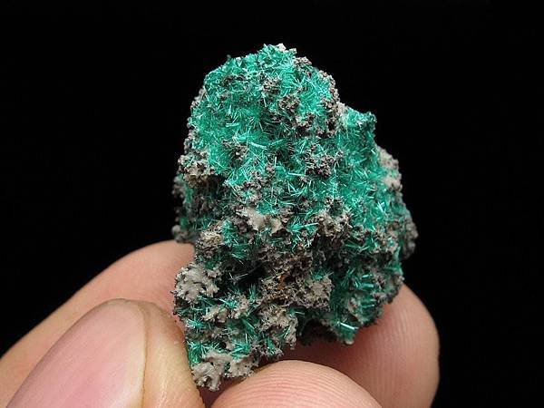 Brochantite 水膽礬 - 祕魯.jpg