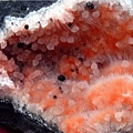 ORANGE MESOLITE BALLS WITH CHALCEDONY CRYSTALS VERY RARE FORMATION -+++.jpg