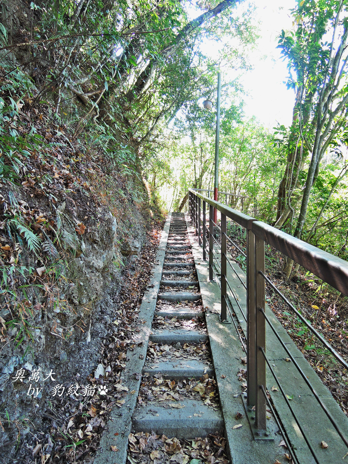 DSCN9748_meitu_3
