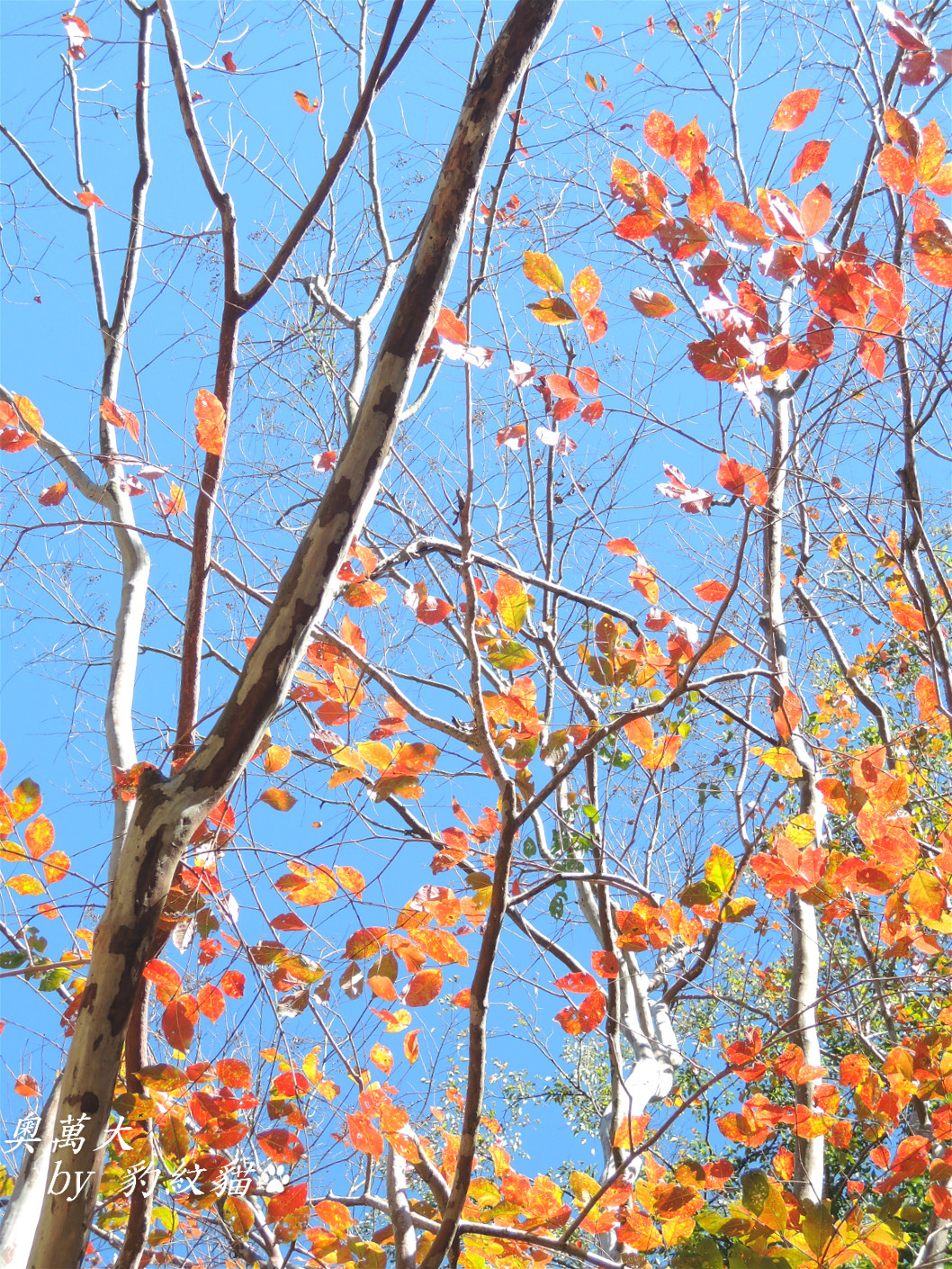 DSCN9750_meitu_2