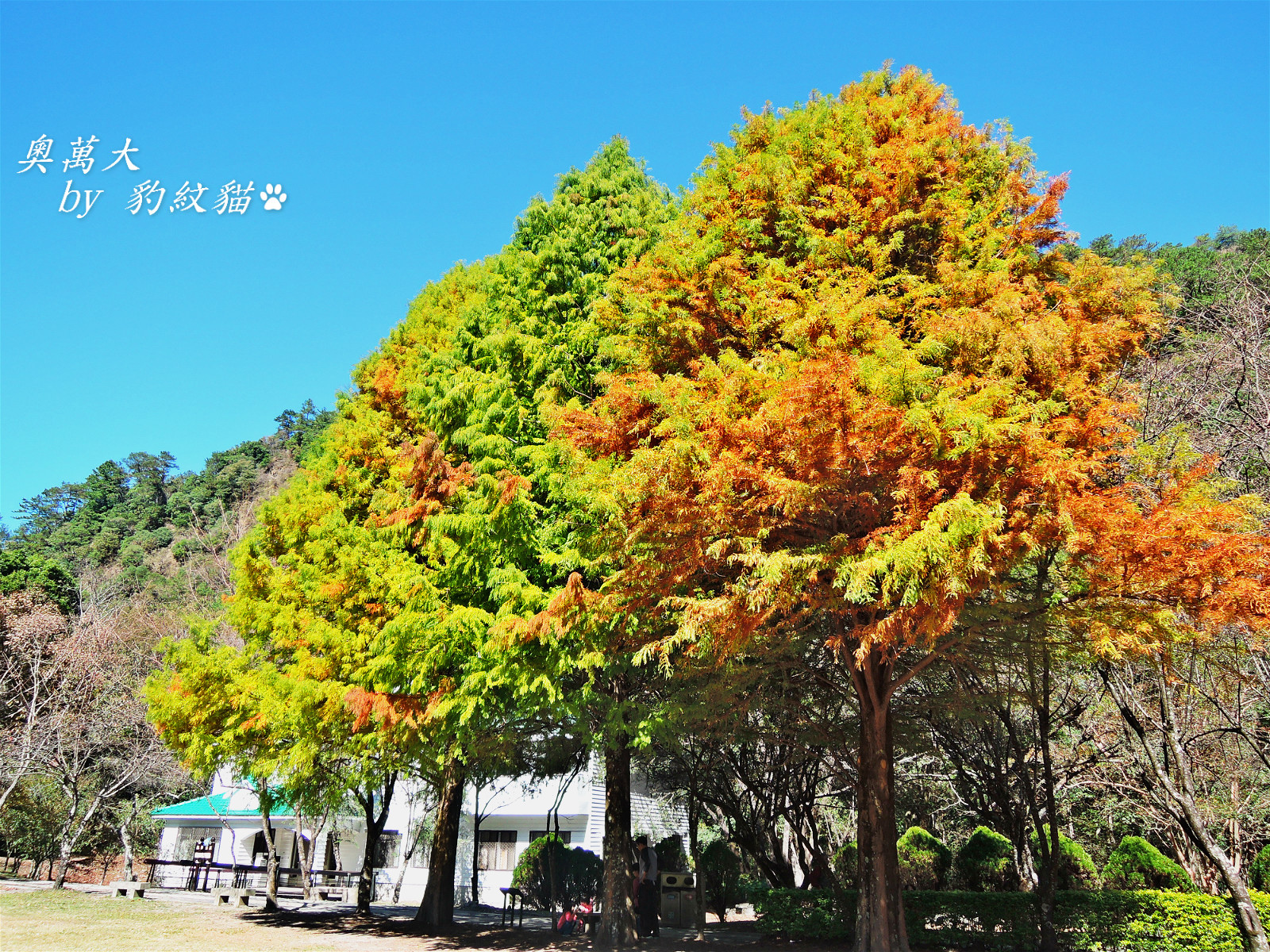 DSCN9768_meitu_10