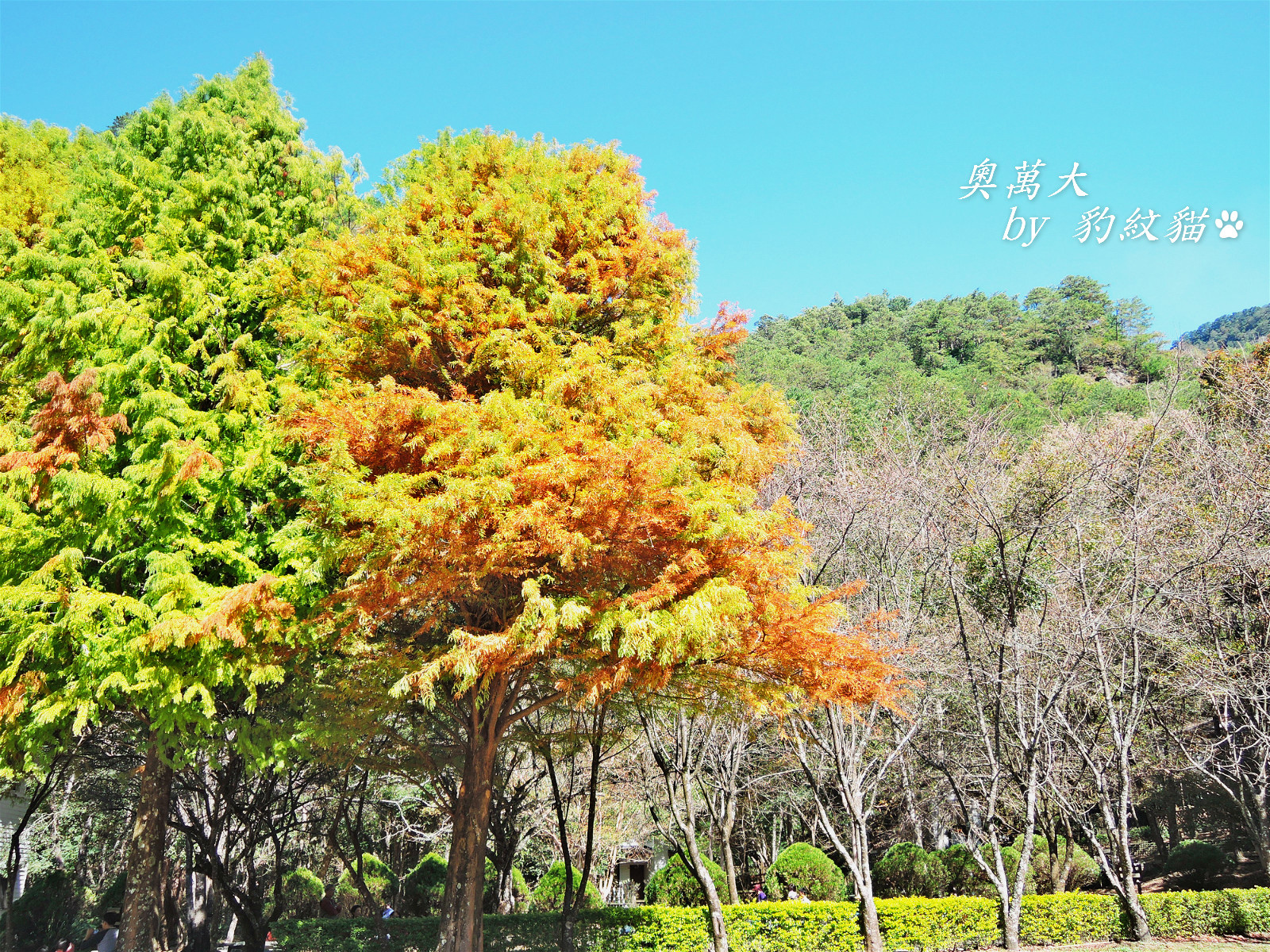 DSCN9770_meitu_11