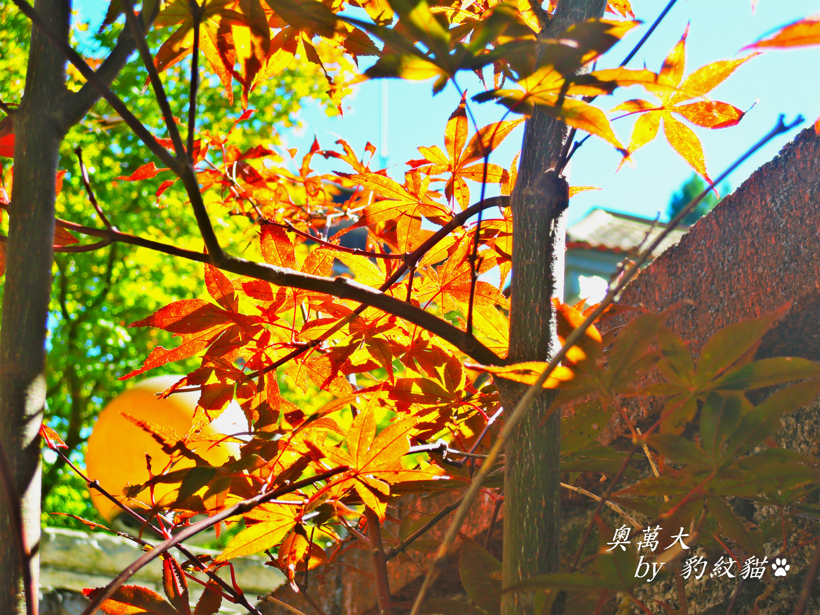 DSCN9776_meitu_14