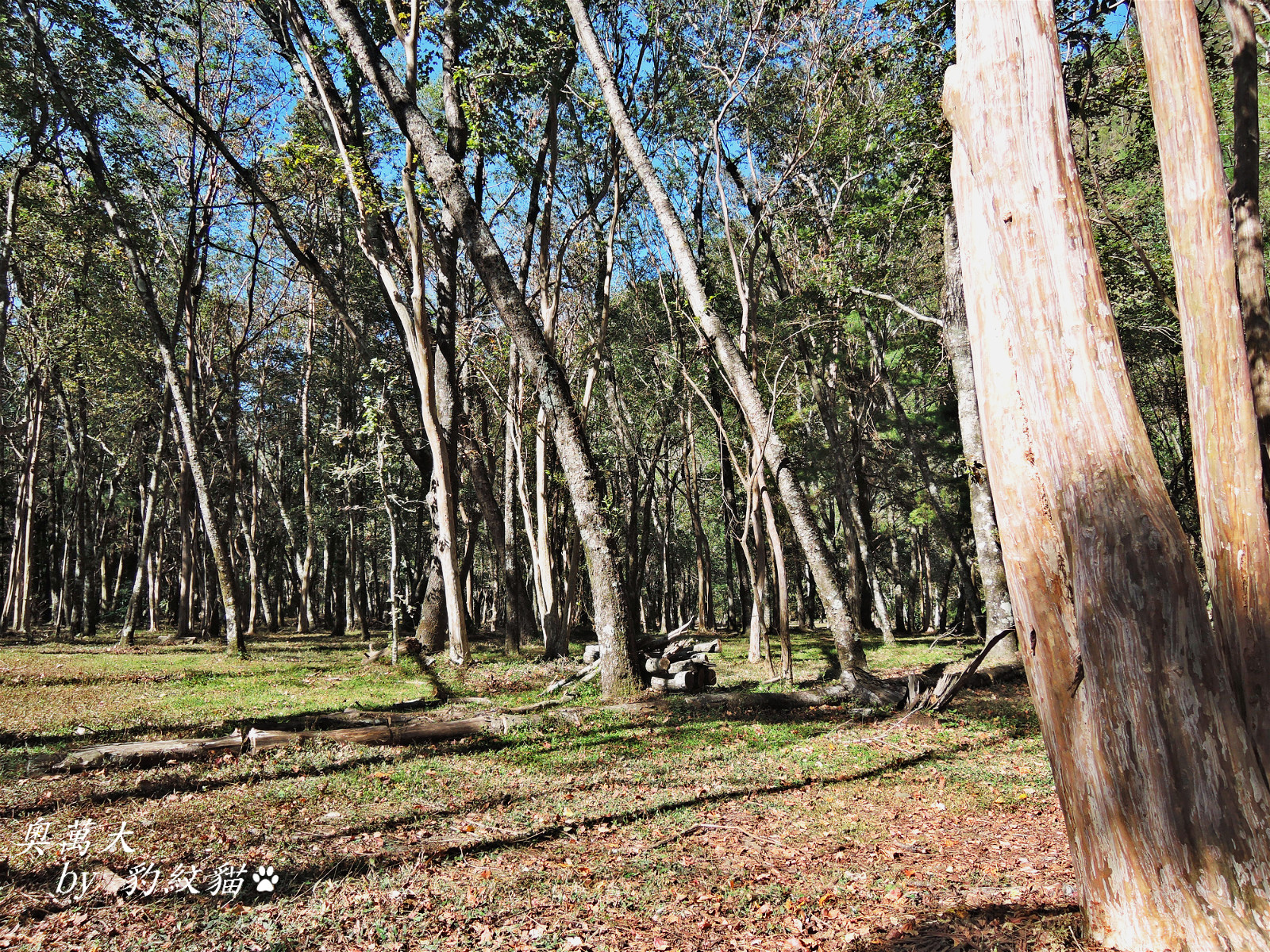 DSCN9810_meitu_26
