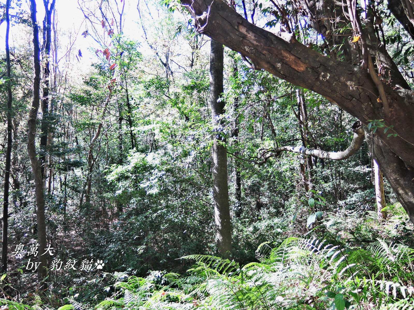 DSCN9817_meitu_28