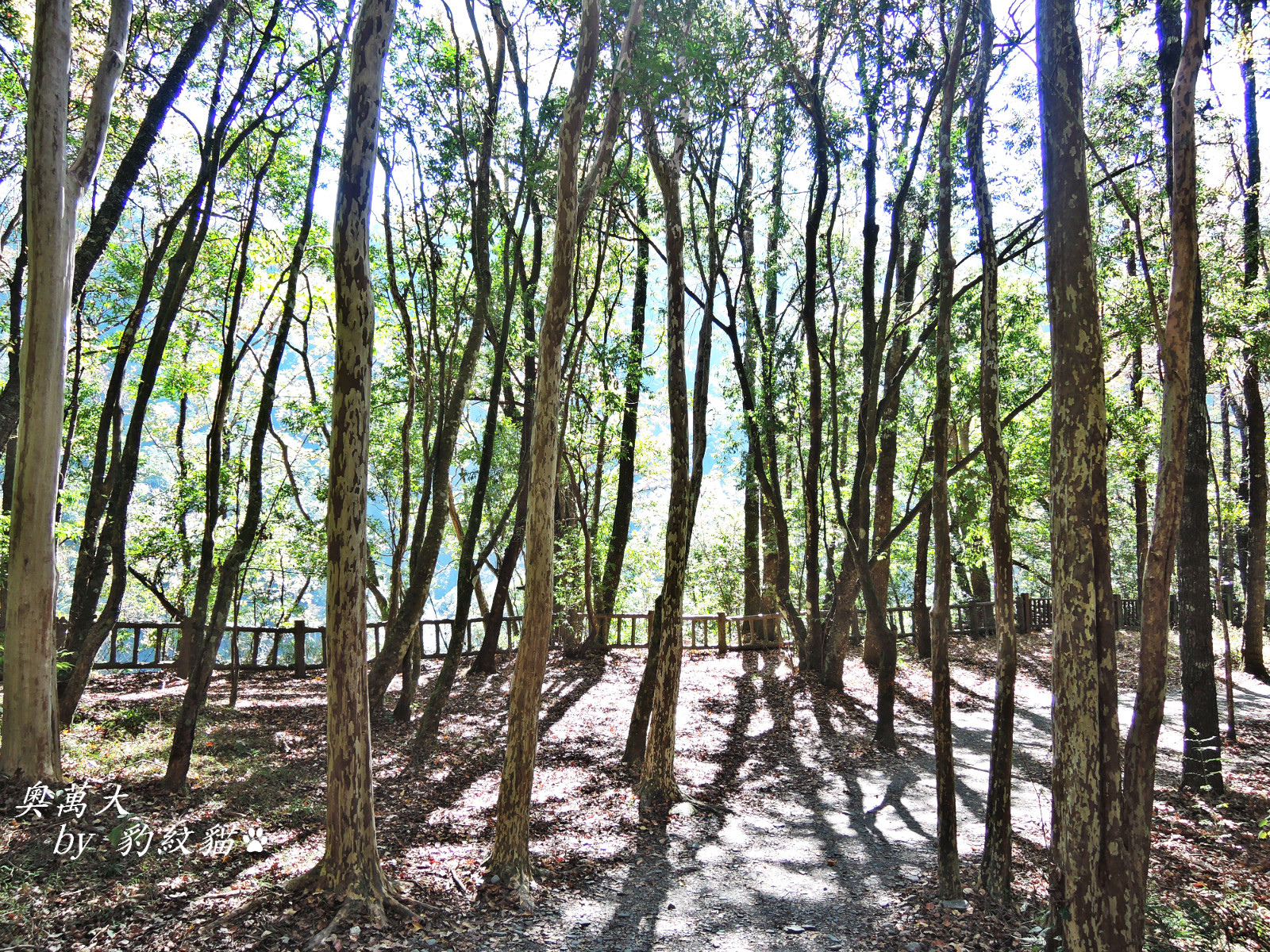 DSCN9820_meitu_29