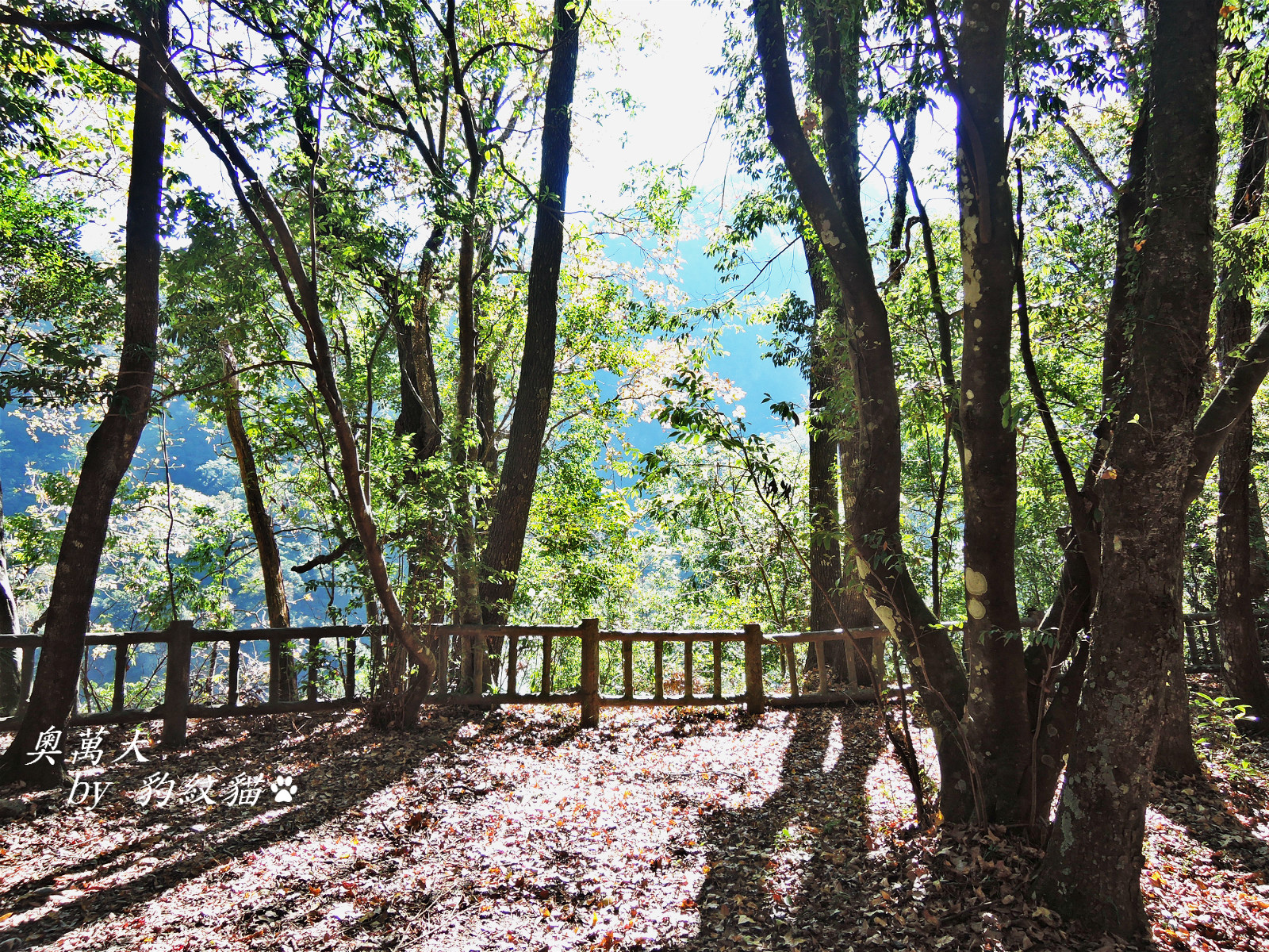 DSCN9821_meitu_30