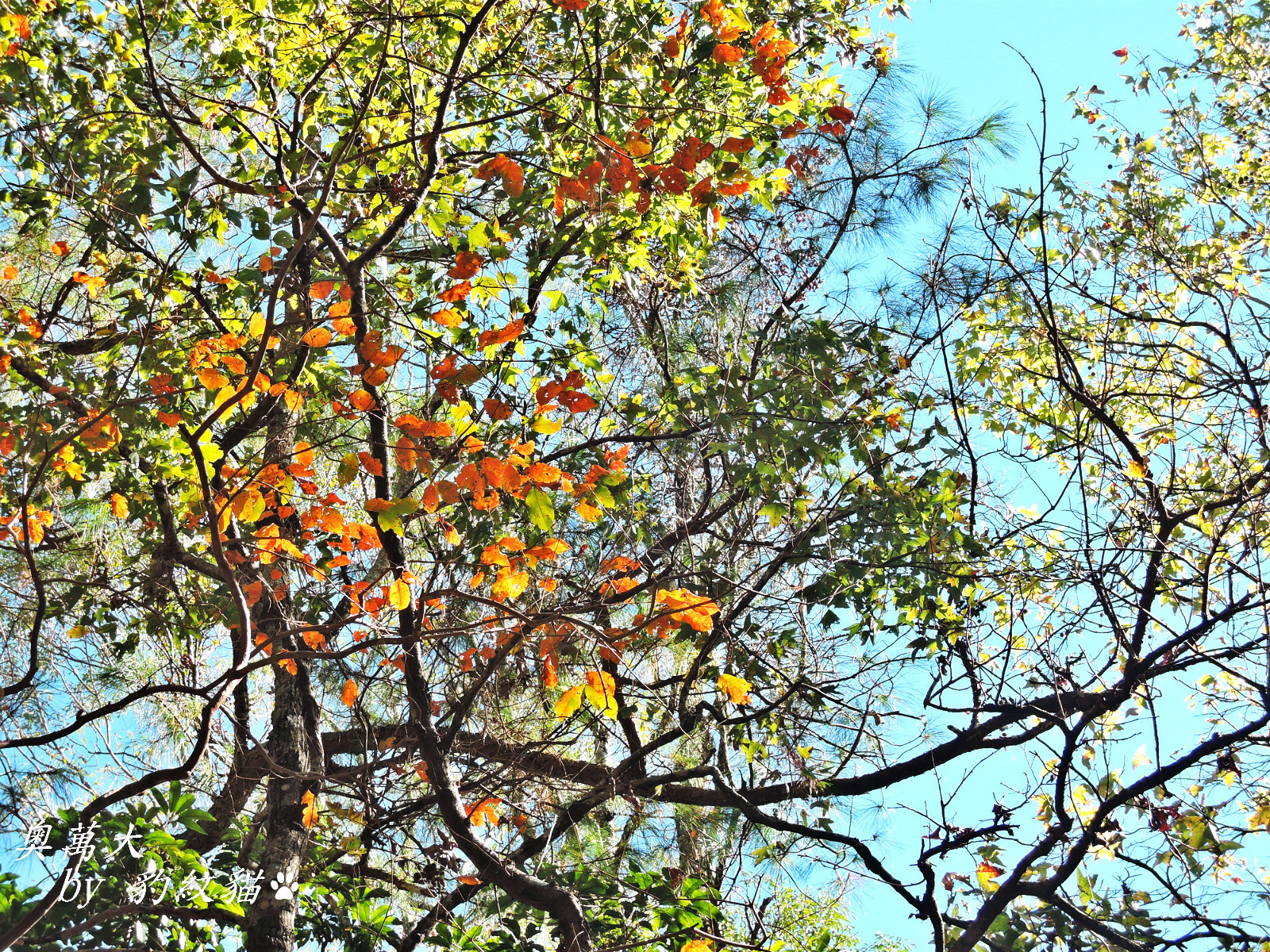 DSCN9826_meitu_34