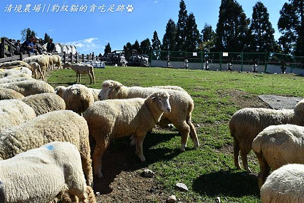 DSC_2262_meitu_1.jpg DSC_2262_meitu_1.jpg