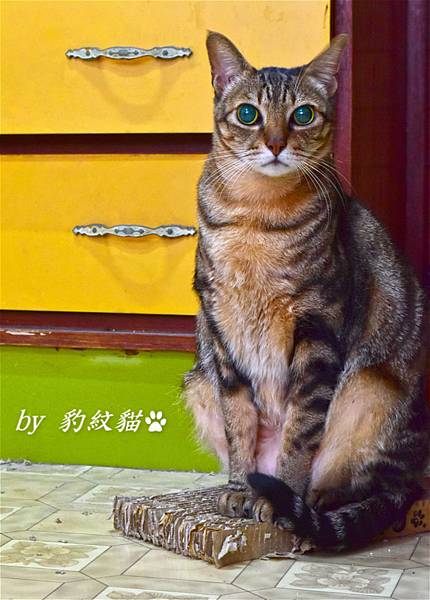 DSC_04291_meitu_12.jpg