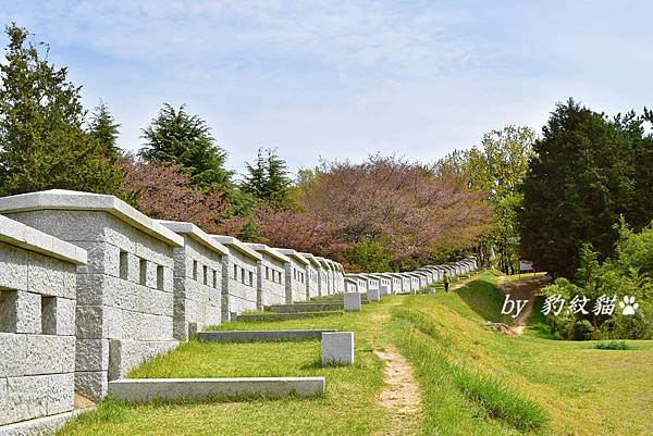 韓國釜山美食|釜山拉麵부산라멘  獨門香氣又清爽的釜山流拉麵