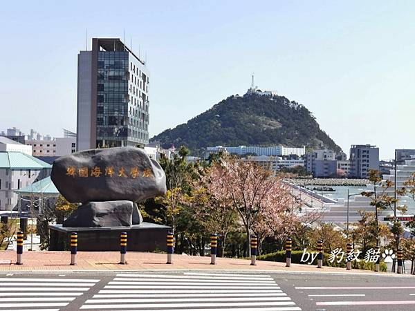 釜山賞櫻美食|아치한상Achi一桌 影島東三洞港邊食堂，家常