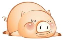 Pig-Sleep.jpg