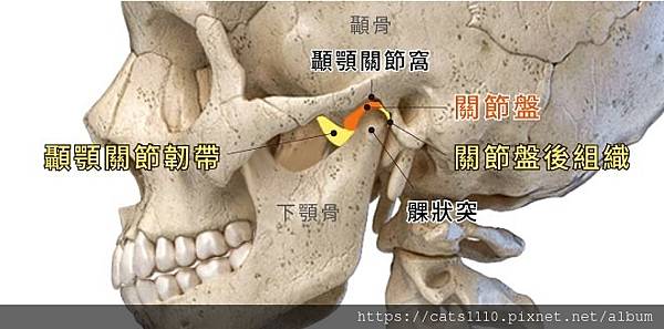 瘦小臉按摩,肌肉放鬆方法