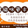 20110820newsletter.jpg