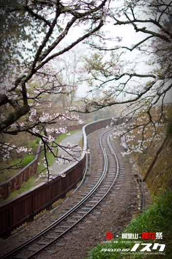 阿里山006-20100313嘉義.jpg