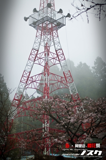 阿里山012-20100313嘉義.jpg