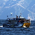 IMG_0909