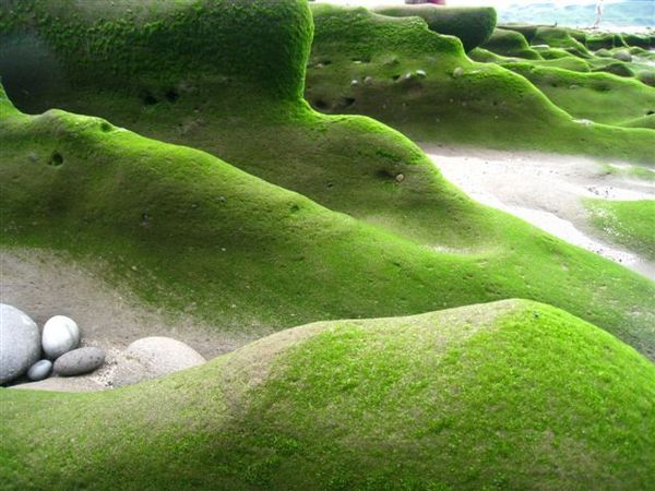 老梅綠色海岸