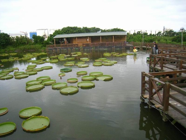 調整大小IMG_1865.JPG