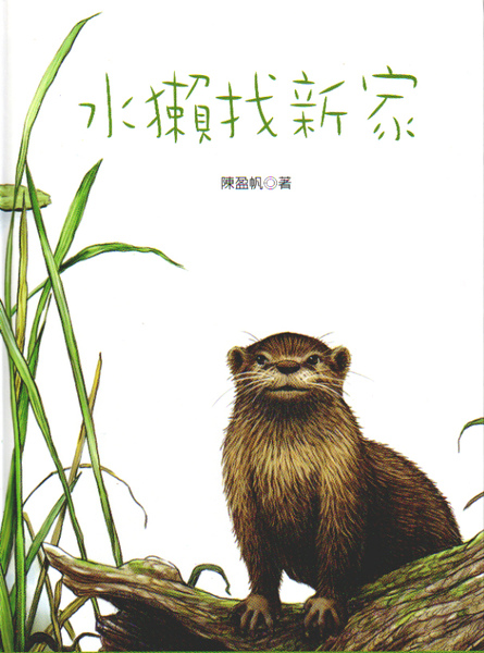 水獺找新家 水獺找新家