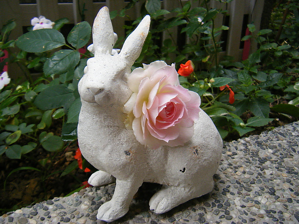 201012東京 002.jpg 201012東京 002.jpg