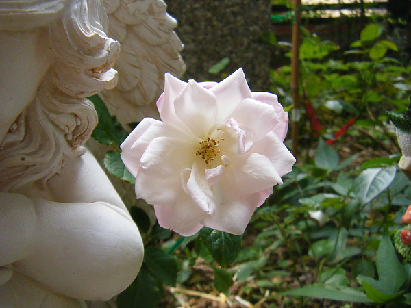 201012東京 001.jpg 201012東京 001.jpg