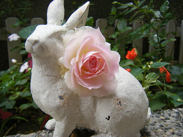 201012東京 003.jpg 201012東京 003.jpg