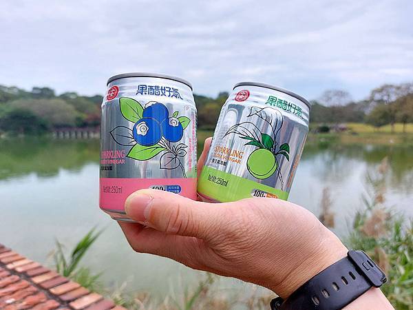 氣泡水、氣泡醋、氣泡水好處、氣泡水推薦、飲料推薦、開箱、新竹美食、十全特好、十全果醋 、果醋好氣、禮盒推薦、宵夜 推薦、薑母鴨推薦、燒肉店推薦、火鍋推薦