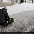 柯同學再拍雪! 超大顆的!!!