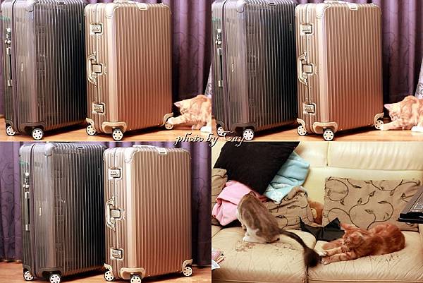 PhotoCap_110916 RIMOWA & 貓模 053P01.jpg