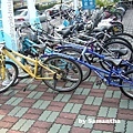 P1030874拷貝.jpg