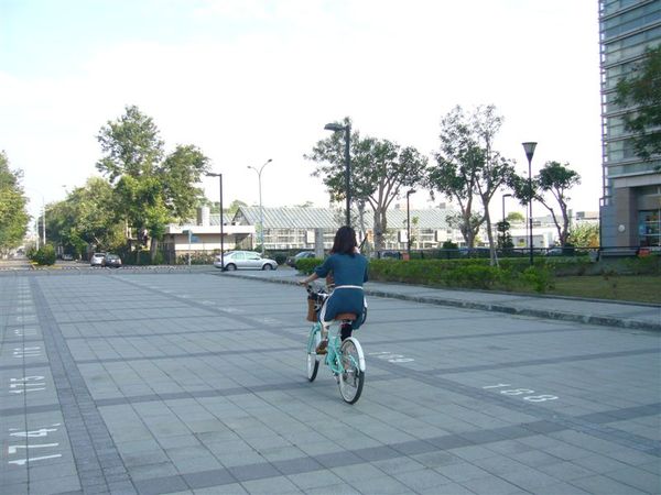 P1150078.JPG